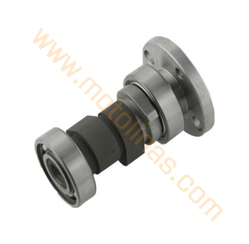 MONDİAL DRİFT L 125cc / VULTURE 125 İ EKSANTRİK MİLİ
