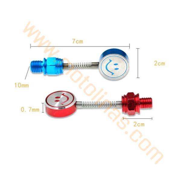 AYNA YERİ CNS DEKOR VİDA 2li FİYAT 10mm [YAYLI MODEL-GÜLÜCÜK] - KARIŞIK RENK