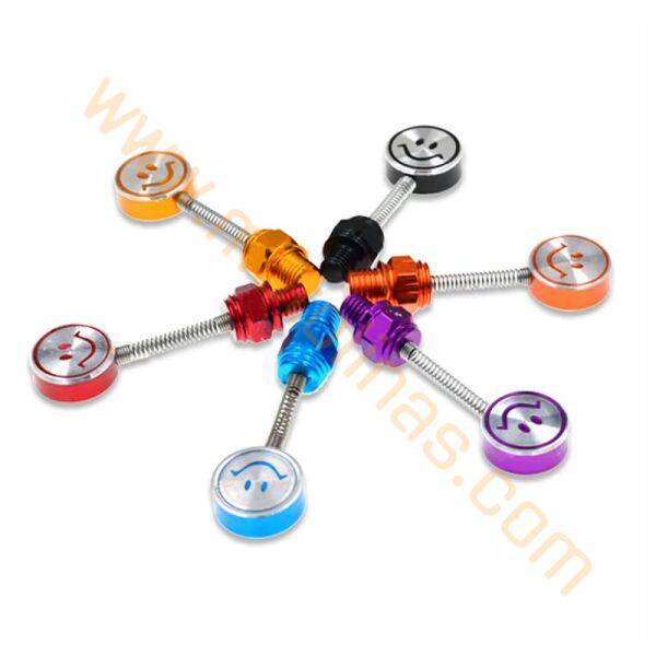 AYNA YERİ CNS DEKOR VİDA 2li FİYAT 10mm [YAYLI MODEL-GÜLÜCÜK] - KARIŞIK RENK