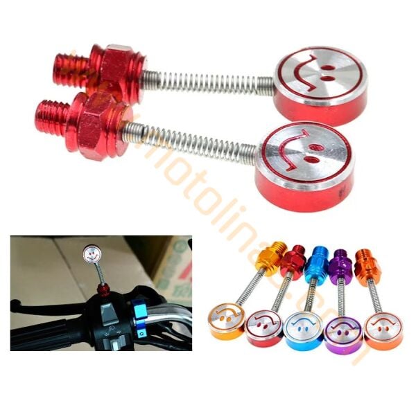 AYNA YERİ CNS DEKOR VİDA 2li FİYAT 10mm [YAYLI MODEL-GÜLÜCÜK] - KARIŞIK RENK