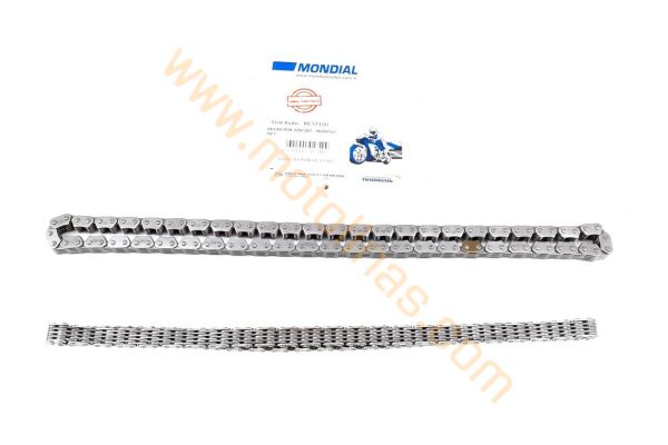 EKSANTRİK ZİNCİRİ - MONDİAL MCT