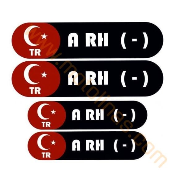 Motosiklet Kan Grubu Sticker Kask Kaporta 4 Parça A RH (-)