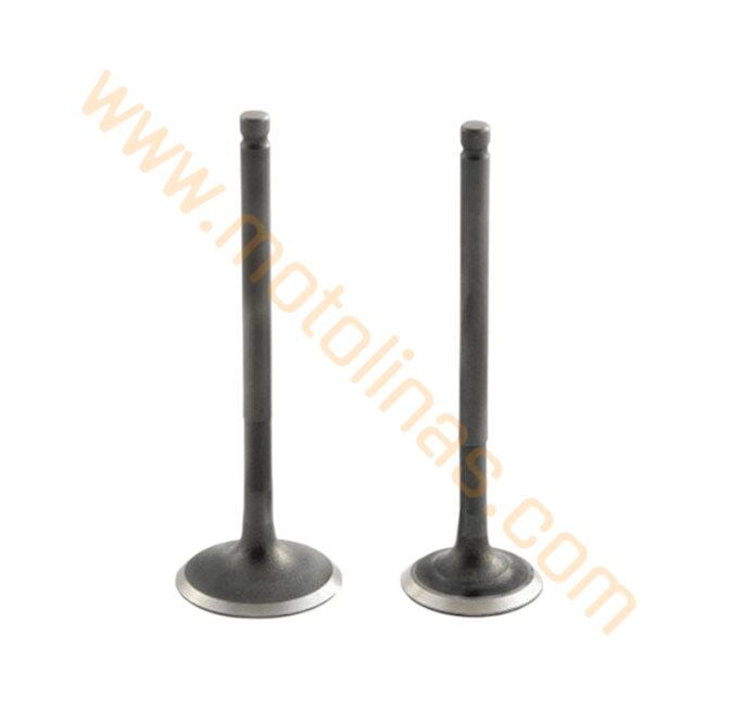 Subap Takımı N8011700+n8011710 - Tvs Raider 125 / Ntorq 125