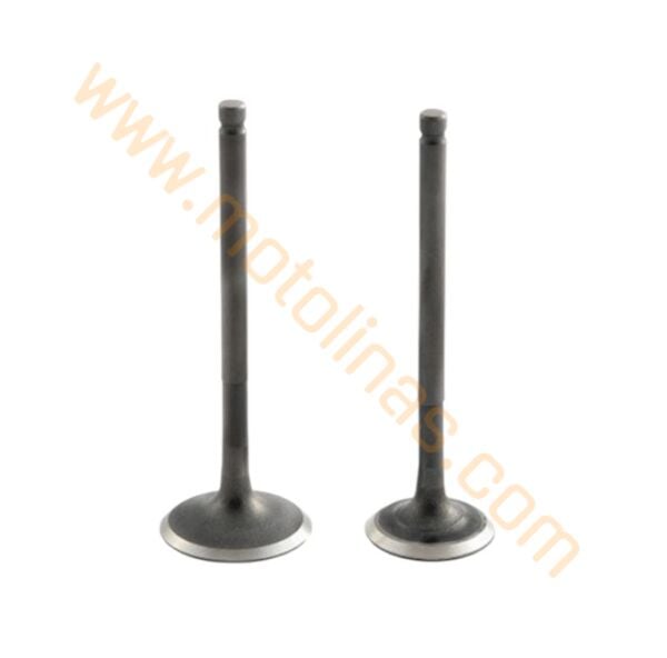 Subap Takımı N8011700+n8011710 - Tvs Raider 125 / Ntorq 125