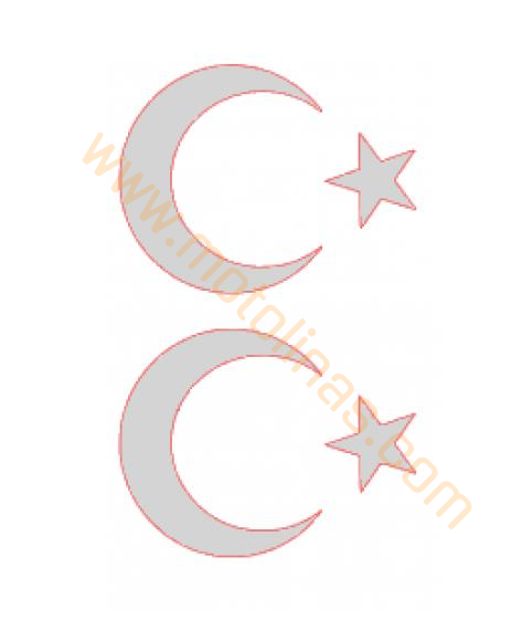 AYYILDIZ BAYRAK STİCKER [FOLYO ETİKET] [BEYAZ] 8cm 2'Lİ - UNİVERSAL