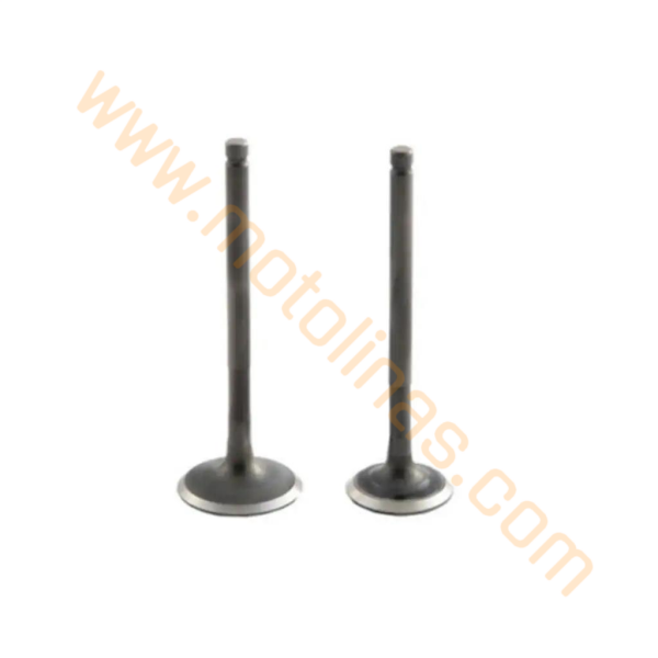 CG 100 cc SUBAP SİBOP TAKIMI 100cc KARACA  - CG100 / CUP100