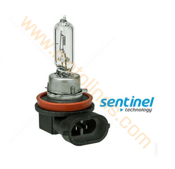 H9 12V 65W Far Ampulü Eğri Soket Bajaj Uyumlu