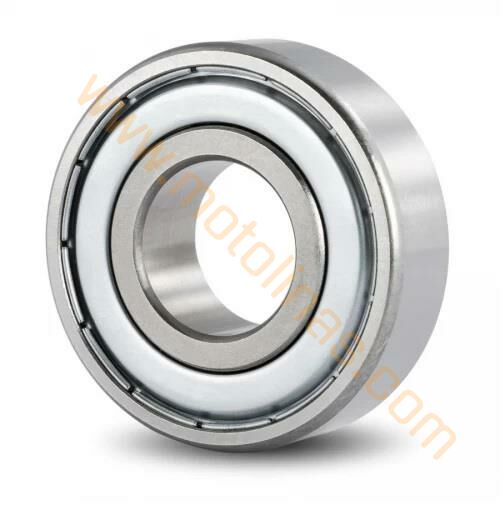 RULMAN BİLYA 6006 ZZ RBE- CG ŞANZUMAN BİLYASI