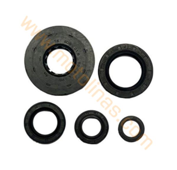 HONDA DİO KEÇE TAKIMI