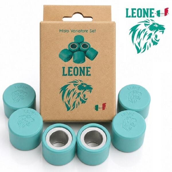 Leone Performans Varyatör Baga Seti 18x14 12 Gr 6'lı Honda Activa Spacy Scooter